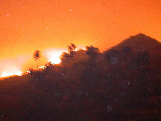 DSCN0054