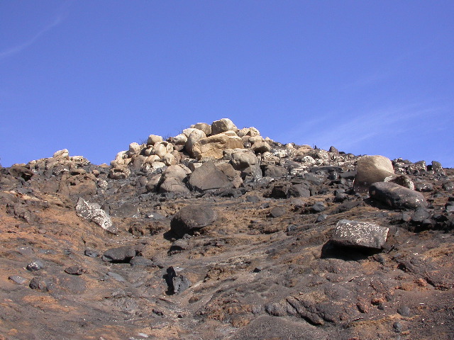 DSCN0102
